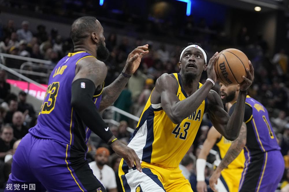 职业生涯的 职业生涯的